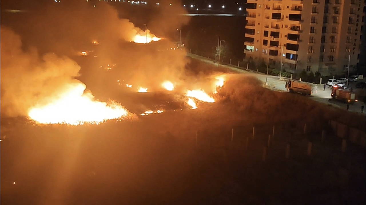 Nusaybin’de sınır hattında anız yangını mayınlı araziye sıçradı