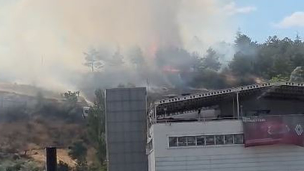 ODTÜ Ormanı'nda çıkan yangın korkuttu