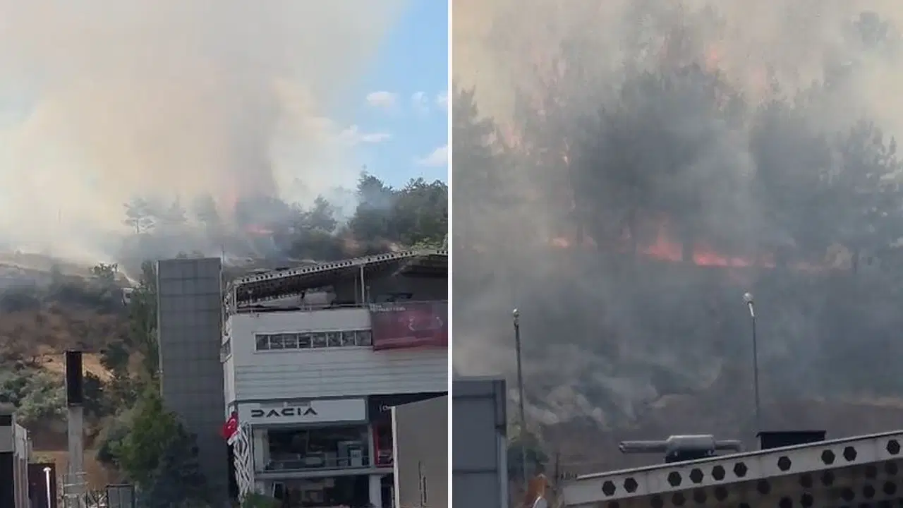 ODTÜ Ormanı'nda yangın: Ekipler hızlı müdahale etti