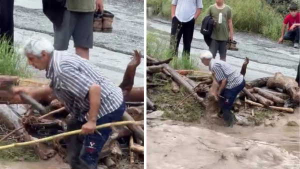 Odun toplamak için canını hiçe saydı: Azgın dereye aldırmadı