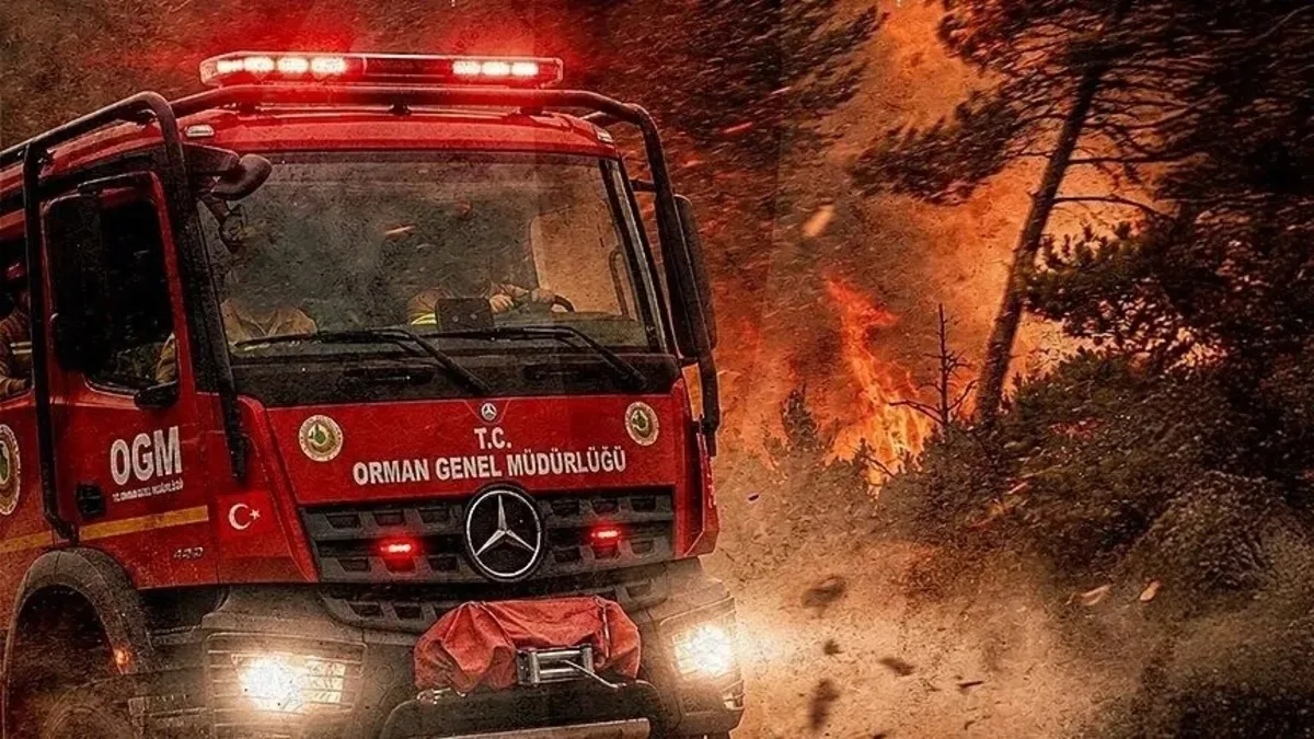 9 İlde Orman Yangını Riskine Karşı OGM'den Kritik Uyarı