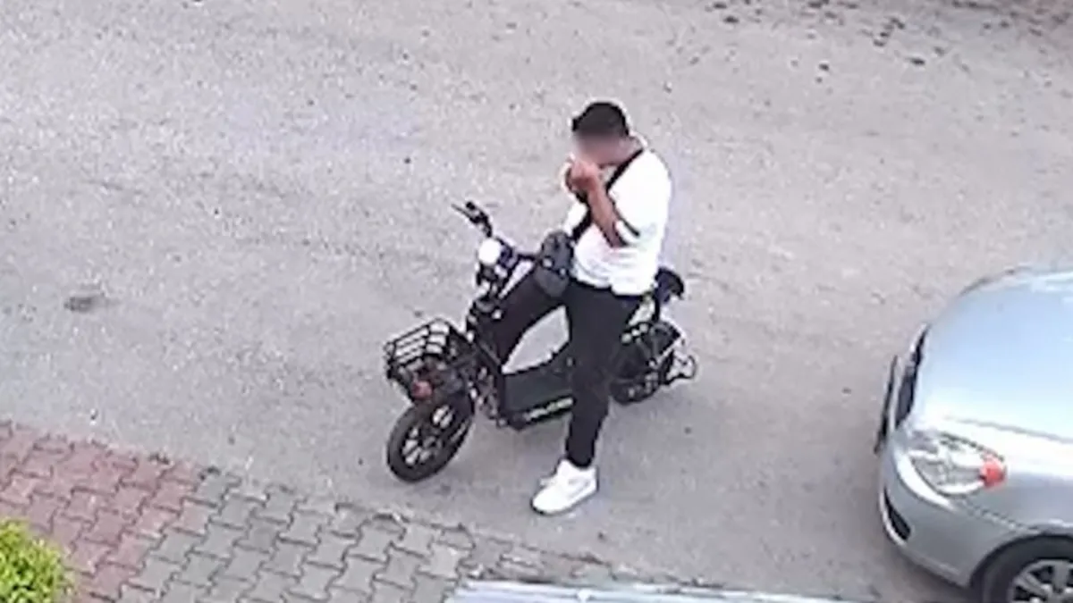 Önce Öptü Sonra Öldürdü! Bolu'da Yavru Kediye Vahşet Kamerada