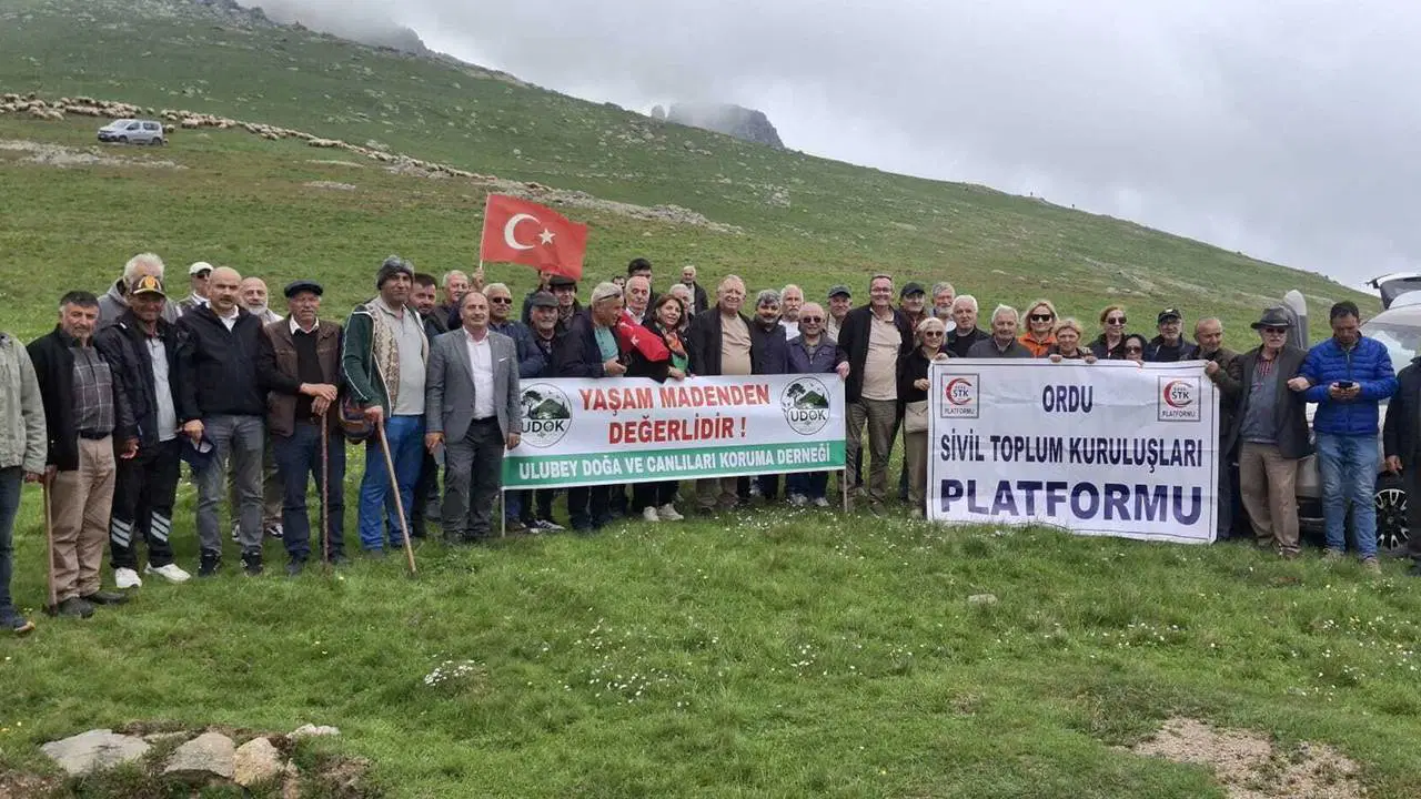 Ordu'da Altın Sondajı Zehri Meraya Sızdı İddiası