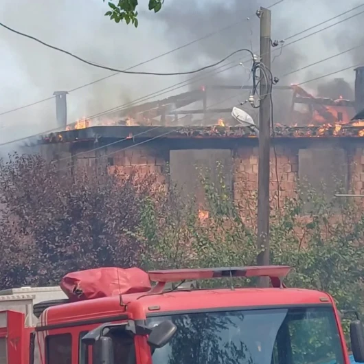 Ordu'da Fındık Deposu Yangını: 1 Ton Ürün Küle Döndü