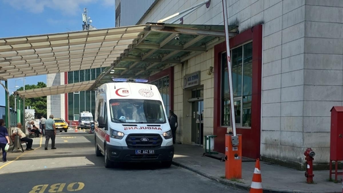 Ordu'da Irmağa Giren İki Kardeşten Biri Boğuldu, Diğeri Ağır Yaralı