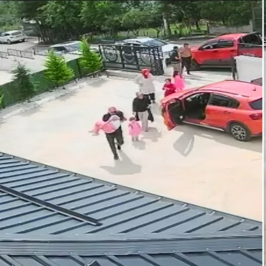 Ordu'da Köpeğe Çarpan Sürücü Kaçtı, 10 Yaşındaki Gülizar Bayıldı