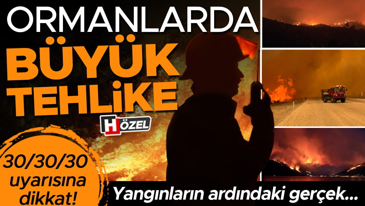 Orman Yangınları Artıyor mu? Uzman İsim Açıkladı