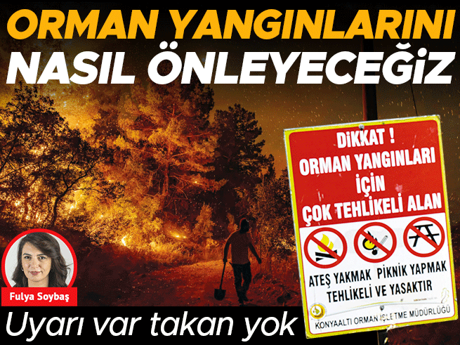 Orman Yangınlarına Karşı Alınacak Önlemler