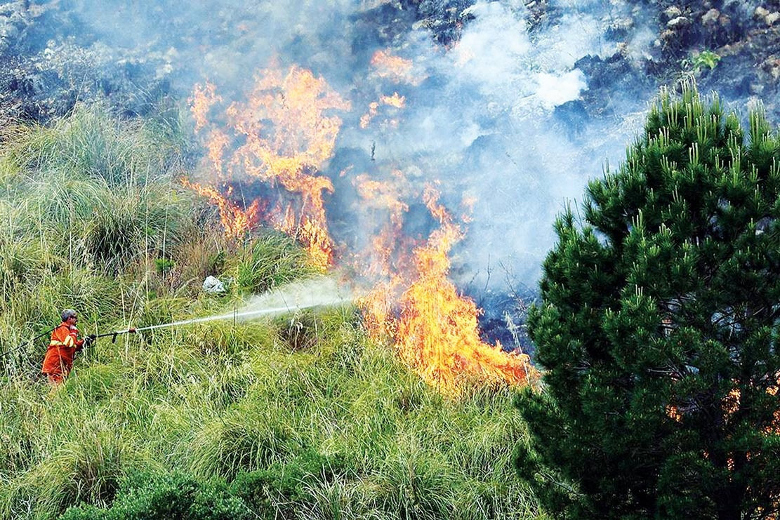 Ormancılar El Nino Tehlike Çanları Çalıyor: Kuraklık Yangın Riskini Artıracak