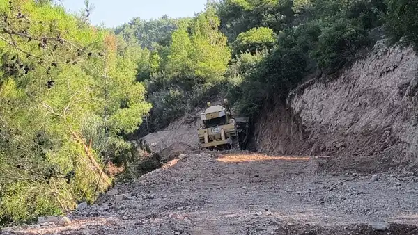Osmaniye'de Ağaç Katliamı: Mahkeme Kararı Hiçe Sayıldı
