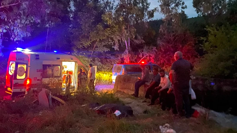 Osmaniye'de keçiyi kurtarmak isterken can verdi