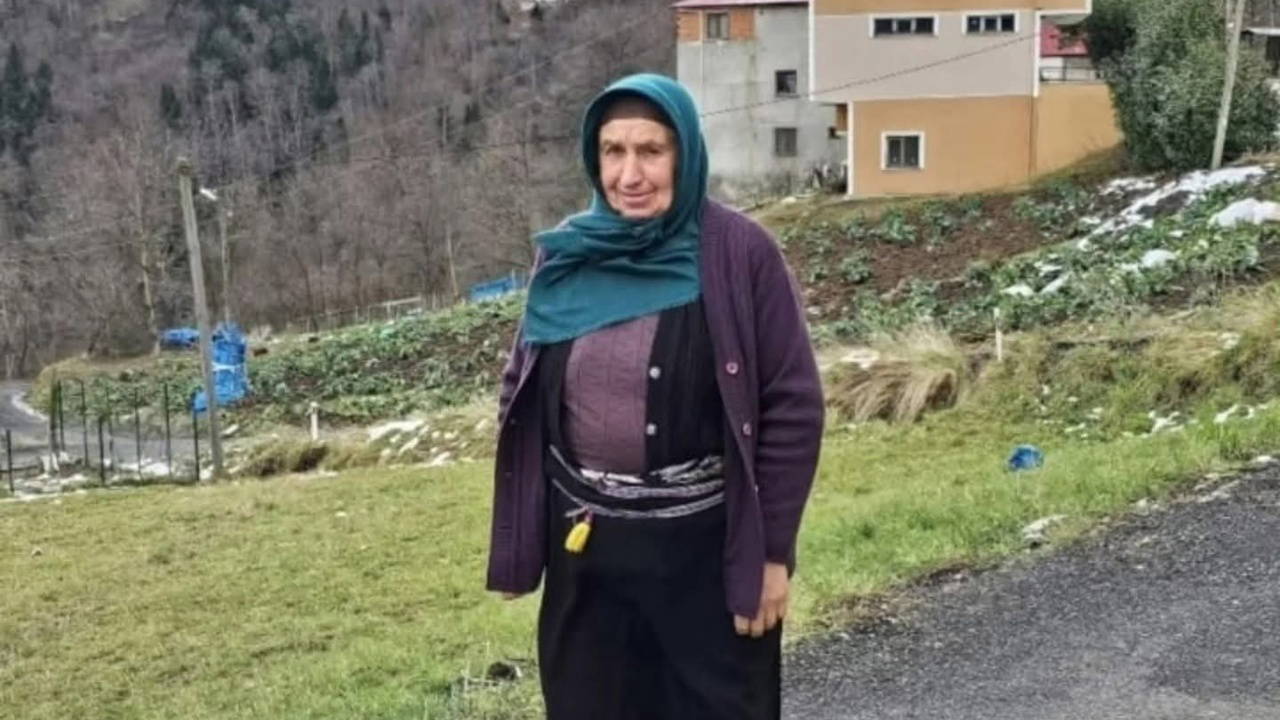 Ot Biçme Tartışması Kanlı Bitti: 1 Ölü, 2 Yaralı