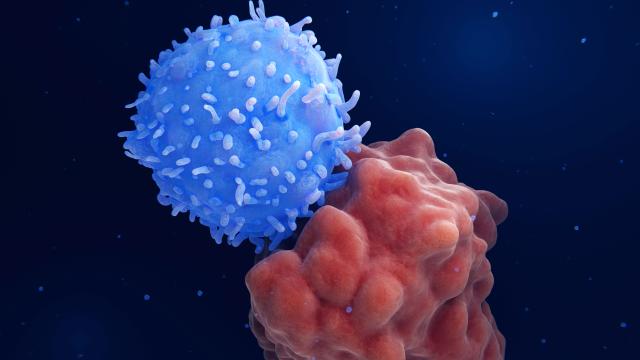 Oxford ve Moderna'dan kansere karşı devrim: Yeni mRNA aşısı ilk kez deneniyor