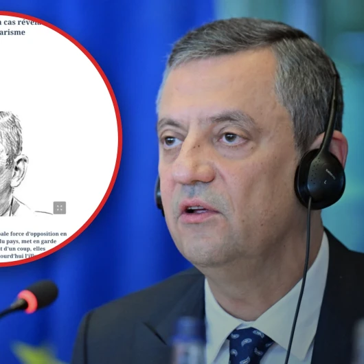 Özgür Özel, Le Figaro'da Türkiye'yi Avrupa'ya şikayet etti