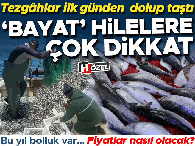 Palamut Bolluğu Balık Fiyatlarını Düşürdü, Bayat Balık Tehlikesi