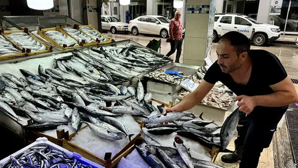 Palamut ve Torikte Av Sezonu 15 Gün Erken Başlıyor