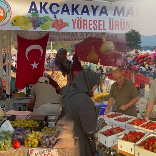 Pamukova'da Çilek Festivali Coşkusu: 4. Geleneksel Etkinlik Renkli Görüntülere Sahne Oldu