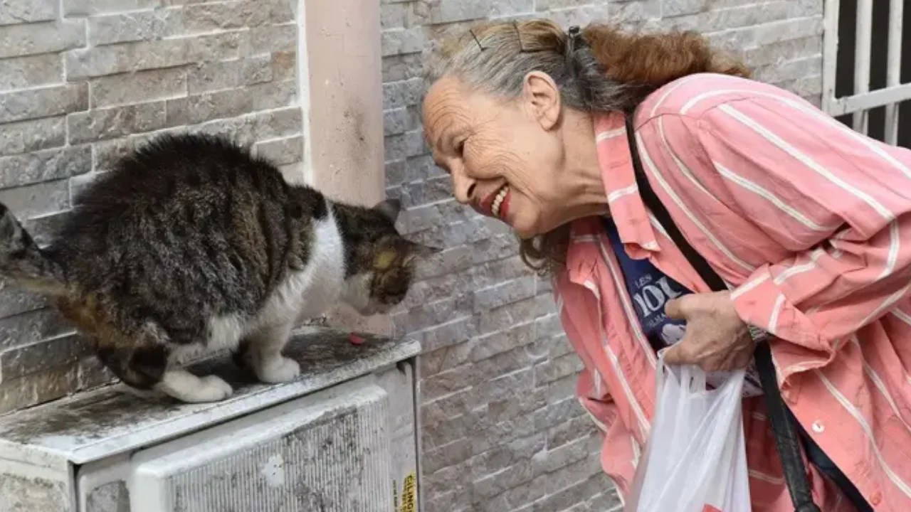 ‘Panter Emel’ Son Yolculuğuna Uğurlandı: Evlat Acısı Dayanılmazdı