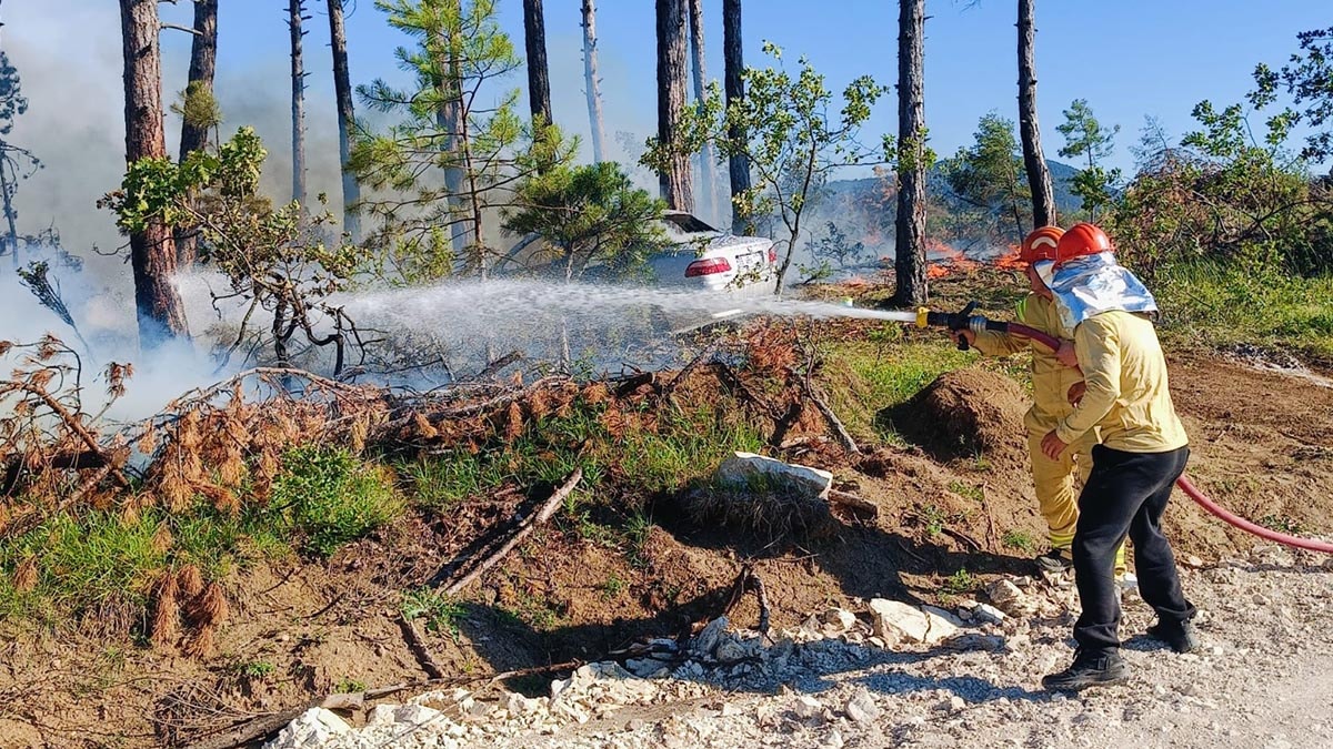 Park Halindeki Otomobilde Çıkan Yangın Ormana Sıçradı