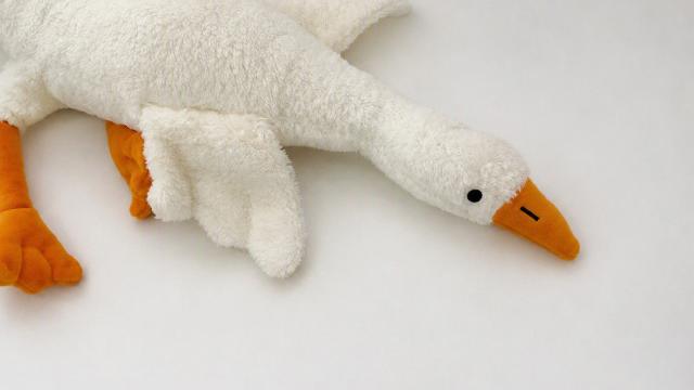 Peluş Kaz Oyuncağı Güvenlik Gerekçesiyle Toplatılıyor
