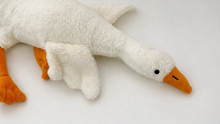 Peluş Kaz Oyuncağına Güvenlik Gerekçesiyle Yasak ve Toplatma Kararı