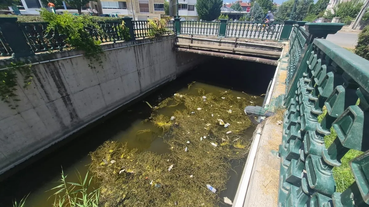 Porsuk Çayı’nda Çöp İsyanı: Eskişehir’in Simgesi Kirlilikle Mücadelede