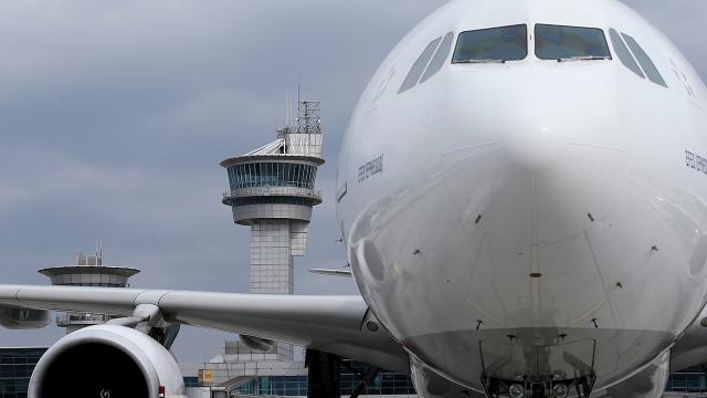 Qantas Uçağında Tahtakurusu Paniği: Roma-Perth Seferi İptal