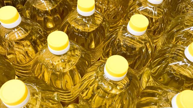Rafine yağlarda bulaşan riskine karşı Bakanlık kılavuz yayımladı