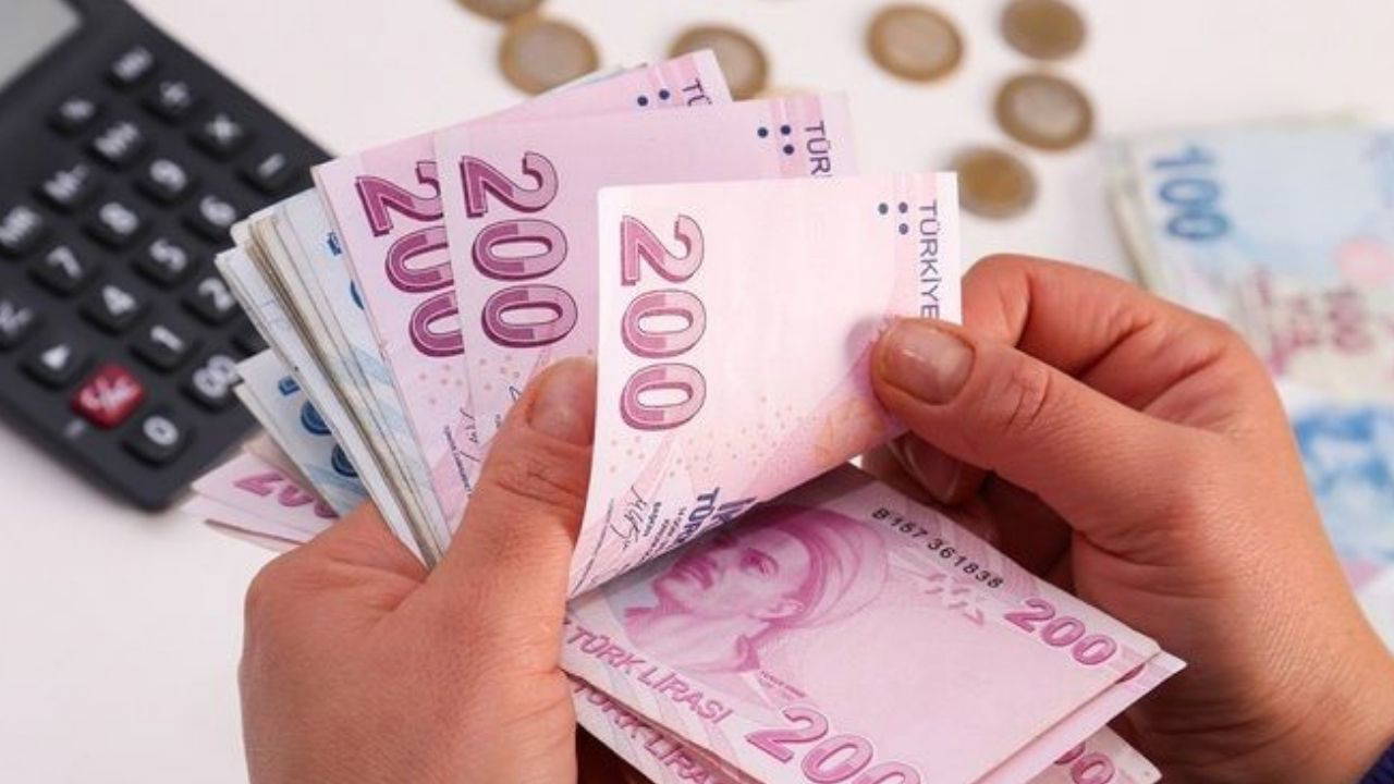 Rapor Parası Yatma Tarihleri: E-Devlet Sorgulama Rehberi