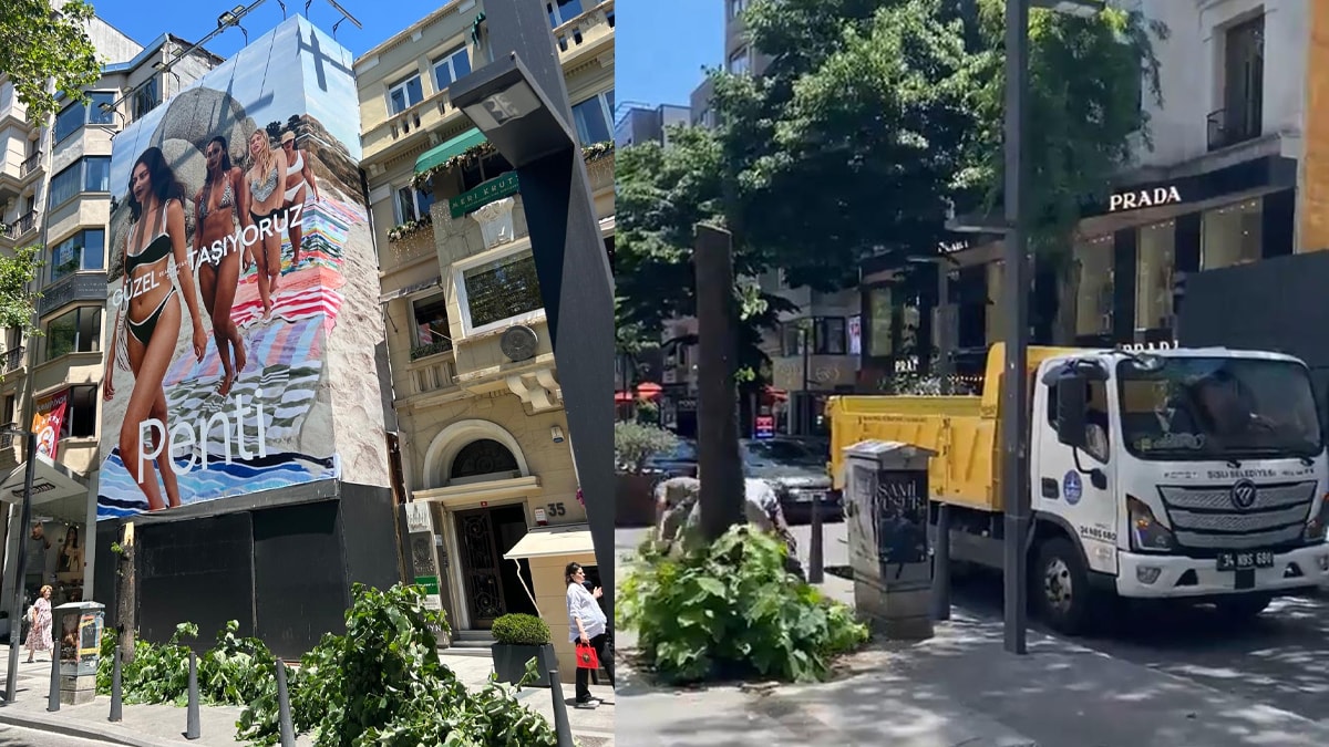 Reklamın Önündeki Ağaç Kesildi: Çevre Kabusu