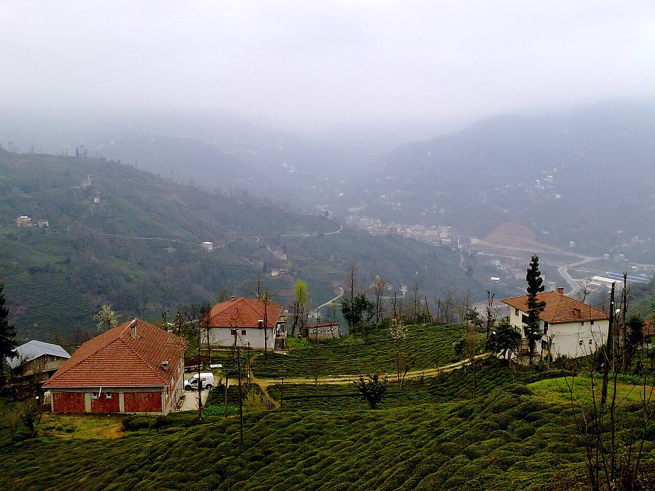 Rize'de Sağanak Felaketi: Evler Tahliye Edildi, Araçlar Sular Altında