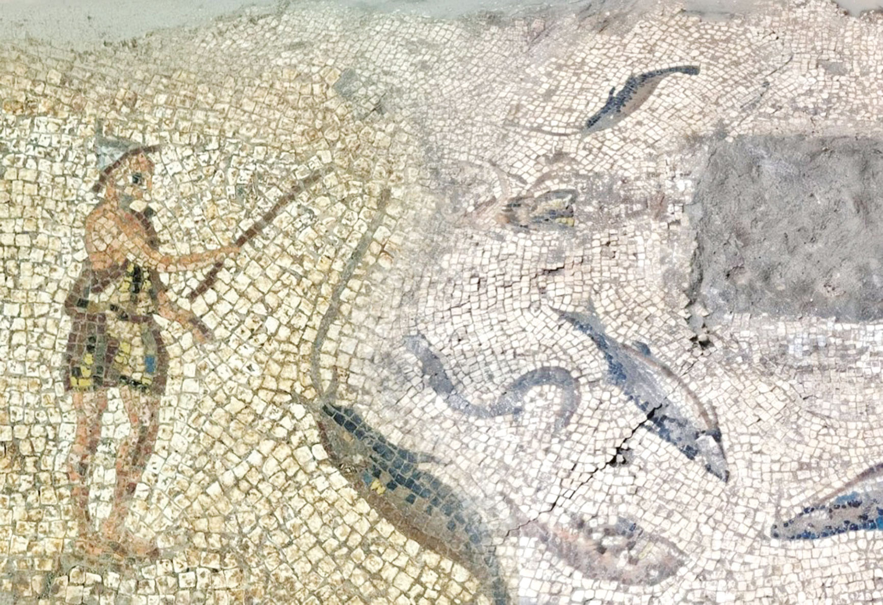 Roma dönemi mozaikleri gün yüzüne çıktı