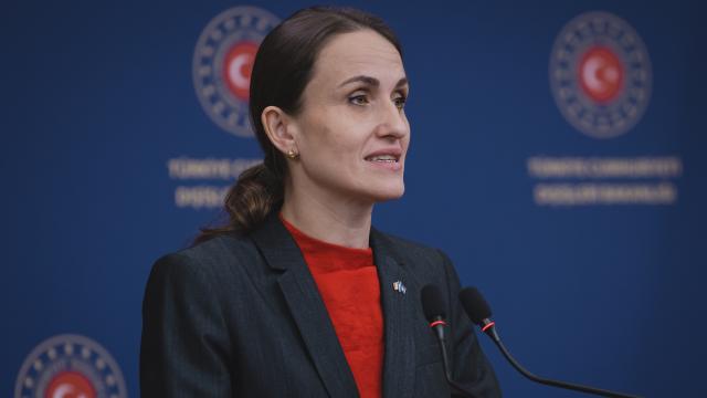 Romanya Dışişleri Bakanı: Karadeniz için Türkiye ile güçlü ortaklık kurduk