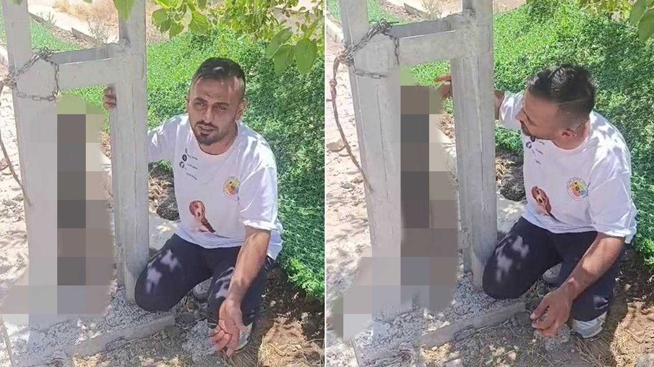 Sahipli köpeği zehirleyip direğe asarak öldürdüler: 'Bunun adı vahşet