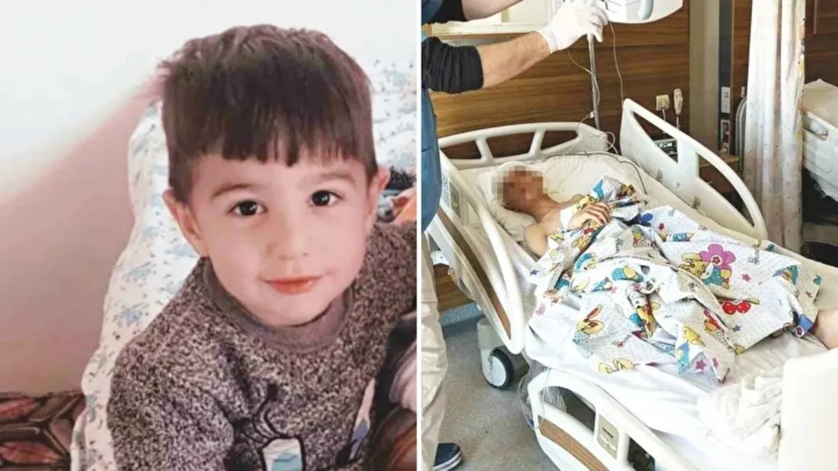 Sahipsiz köpek saldırısında belediye başkanına soruşturma izni