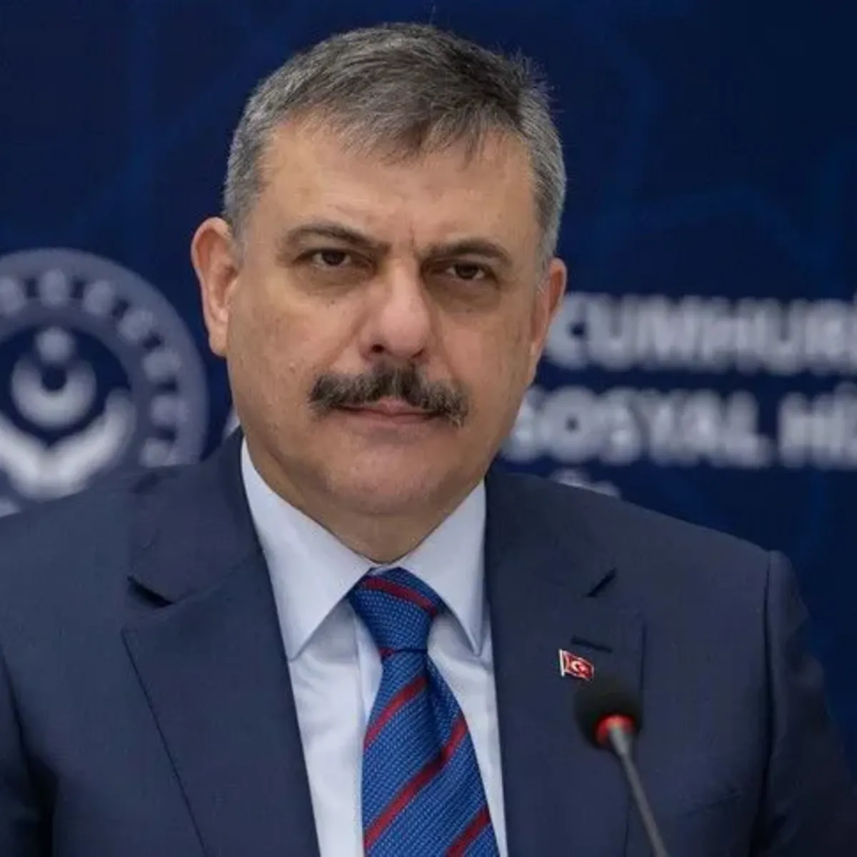 Sahipsiz Sokak Hayvanları Çalışmaları Tamamlandı: Bakan Çiftçi Açıkladı