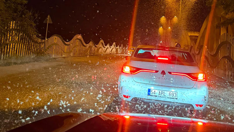 Sakarya'da doğanın gizemli dansı: Milyonlarca kelebek köprüde can verdi