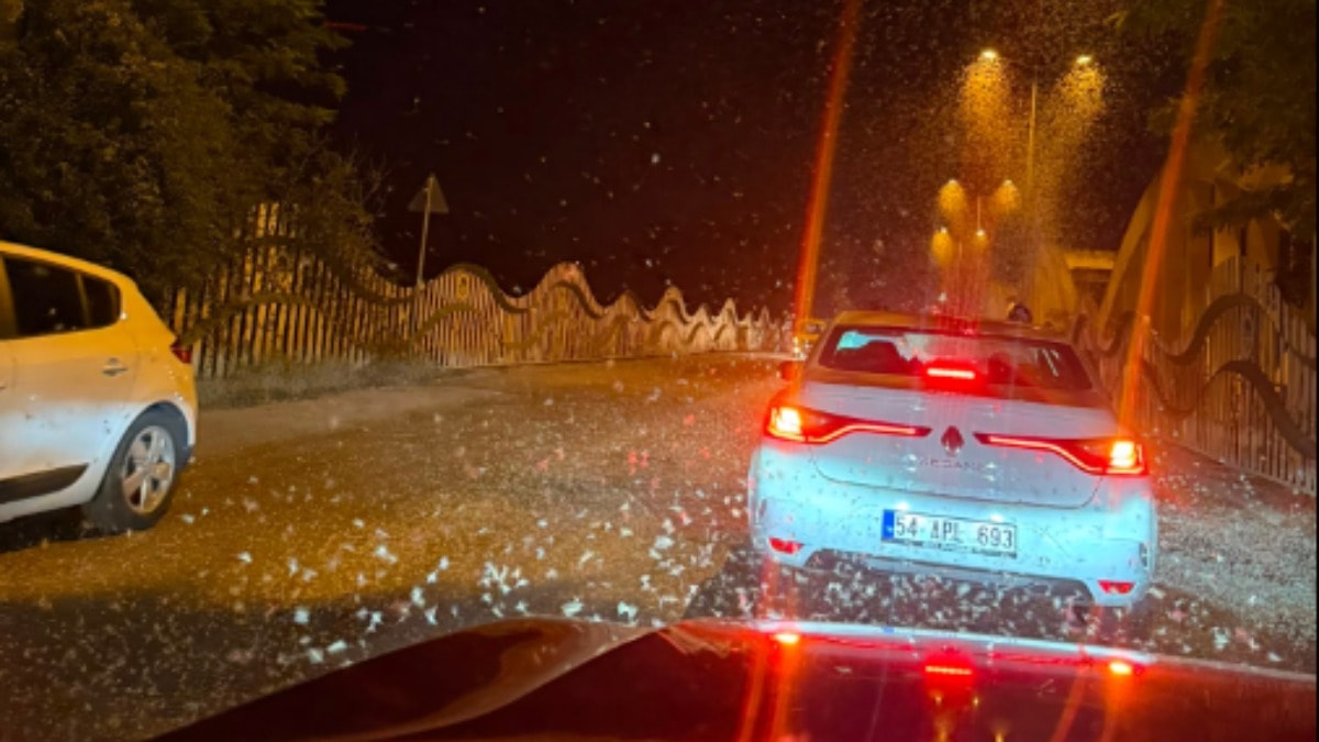 Sakarya'da Milyonlarca Söğüt Kelebeği Köprüyü Kapladı