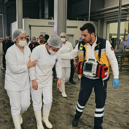 Sakarya'daki tavuk fabrikasında gaz sızıntısı: 15 işçi hastanelik oldu