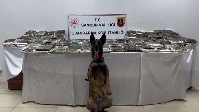 Samsun'da tırda 132 kg uyuşturucu ele geçirildi