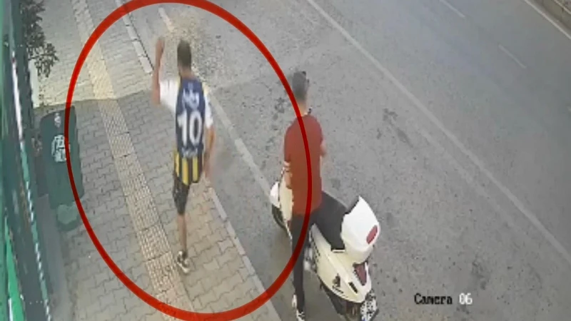 Samsun'da kediye tekme atan şüpheli aranıyor
