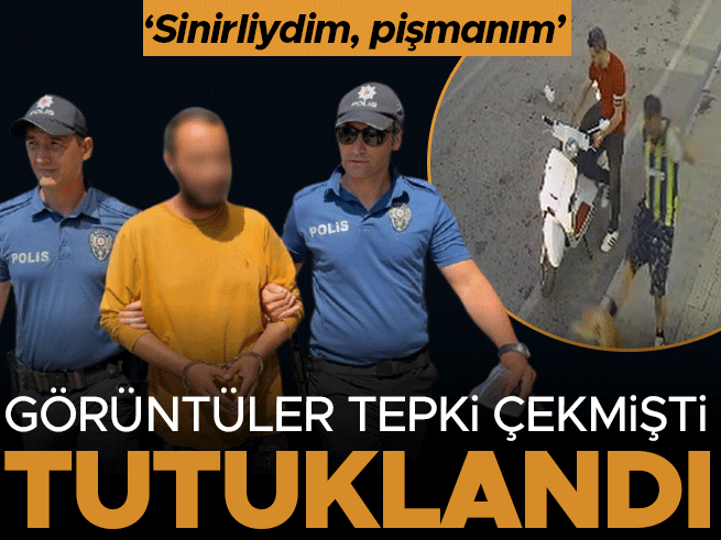 Samsun'da kediye tekme atan şüpheli tutuklandı: 'Sinirliydim, pişmanım