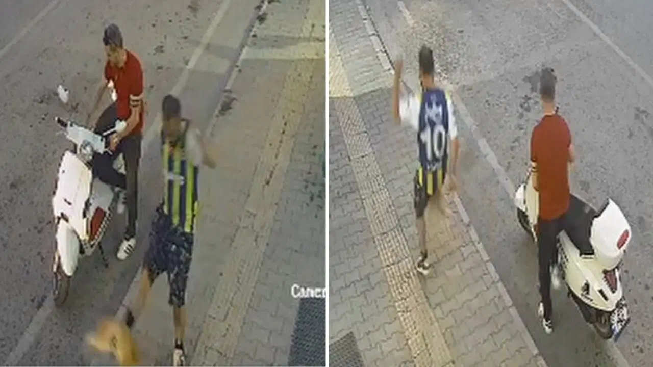 Samsun'da kediye tekme atan şüpheli adliyeye sevk edildi