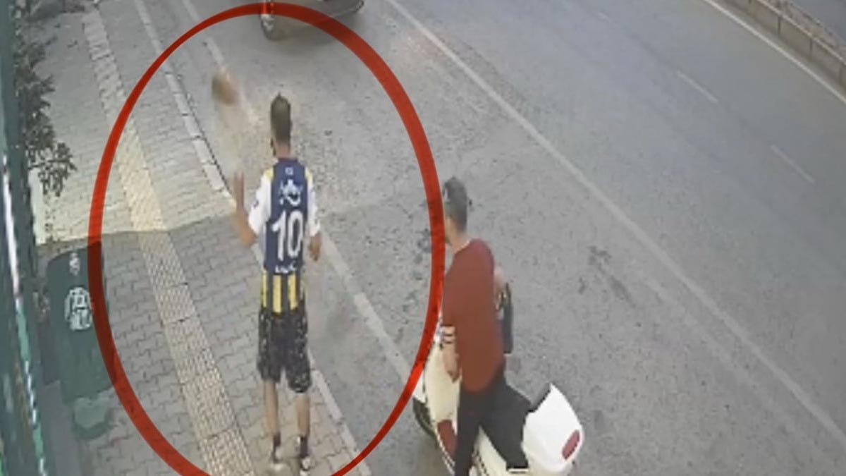 Samsun'da kediye tekme atan şahıs tutuklandı