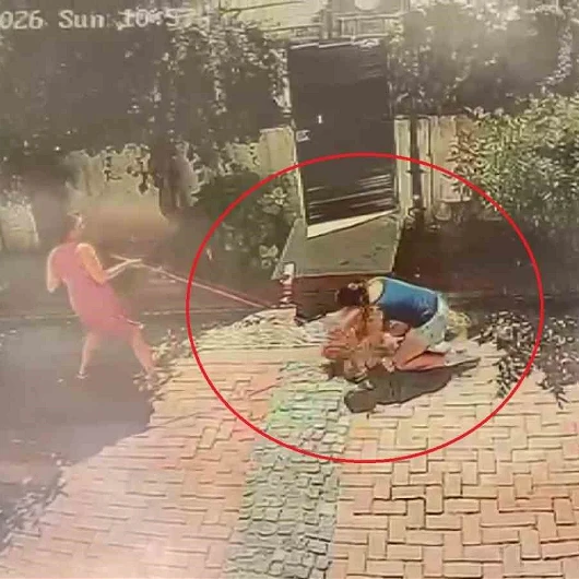 Samsun'da Pitbull Dehşeti: Küçük Kız ve Köpeği Saldırıya Uğradı