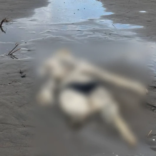 Samsun Terme'de İskelet Bulundu: Üzerinde Mayo Benzeri Kıyafet