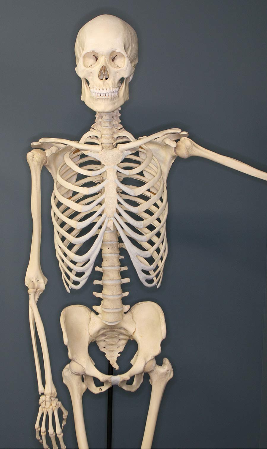 Samsun'da Şok! Sahilde İnsan İskeleti Bulundu