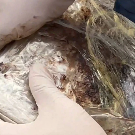 Samsun'da Piyasaya Sürülecek Uyuşturucuya Büyük Darbe: 132 Kilo Esrar Ele Geçirildi
