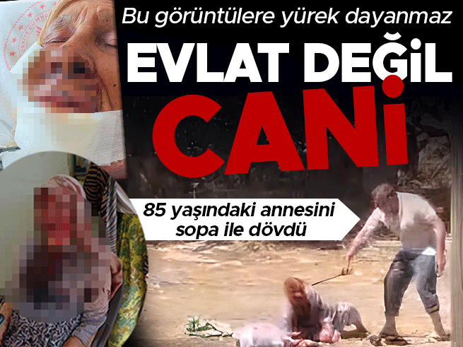 Şanlıurfa'da 85 yaşındaki annesini sopayla döven oğul tutuklandı