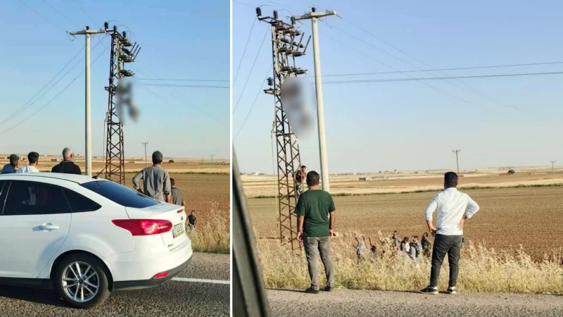Şanlıurfa'da trajik kaza: Elektrik akımına kapılan işçi direkte asılı kaldı